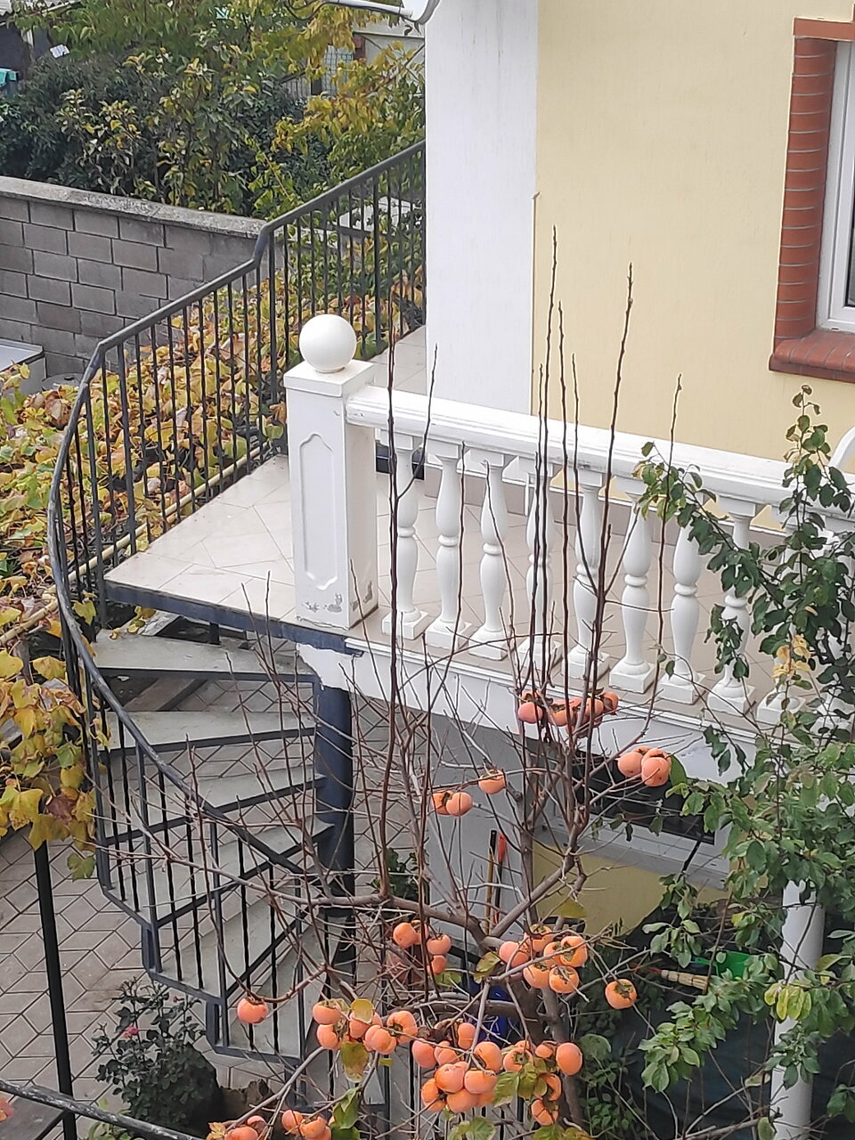 Гостевой дом У Чижика Севастополь