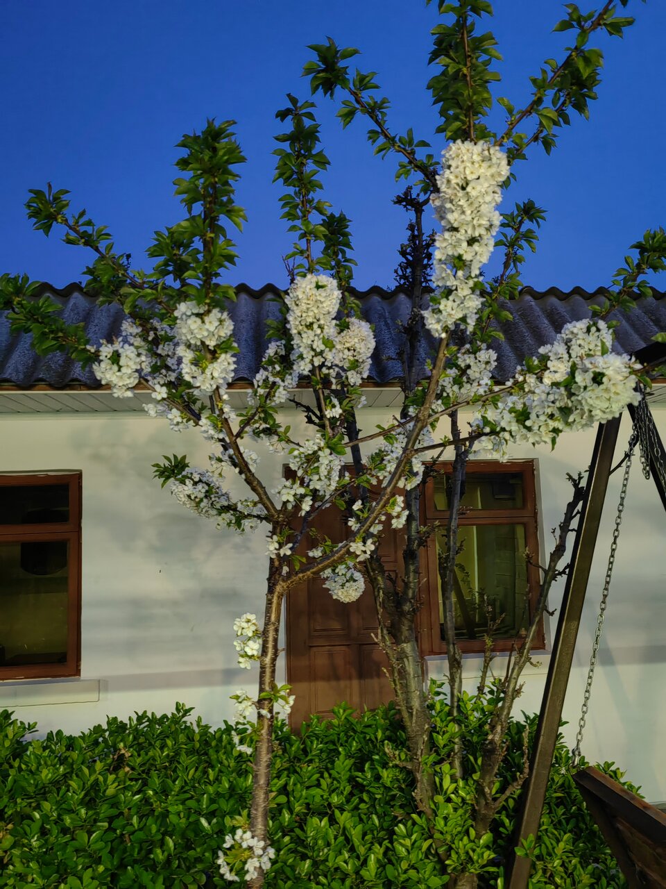 Гостевой дом У Чижика Севастополь-162