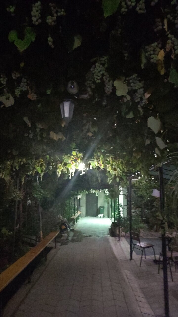 Гостевой дом У Чижика Севастополь-170