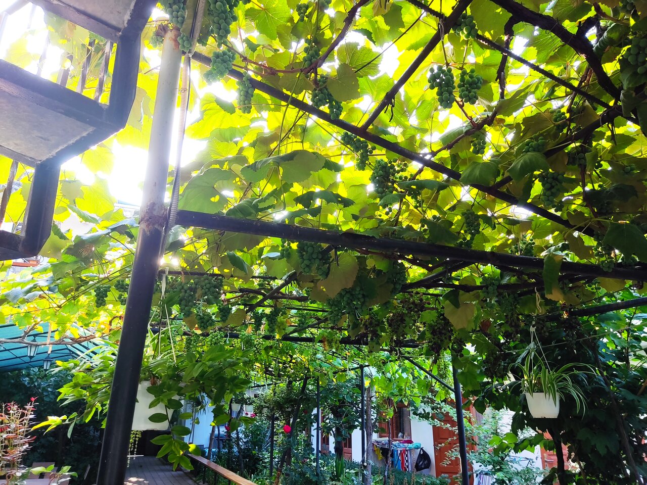 Гостевой дом У Чижика Севастополь-172