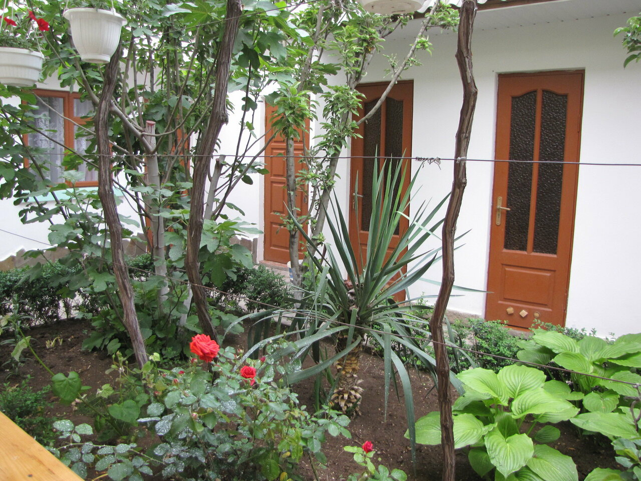 Гостевой дом У Чижика Севастополь