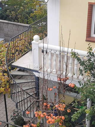 Гостевой дом У Чижика Севастополь Двухкомнатный полулюкс с кухней-10