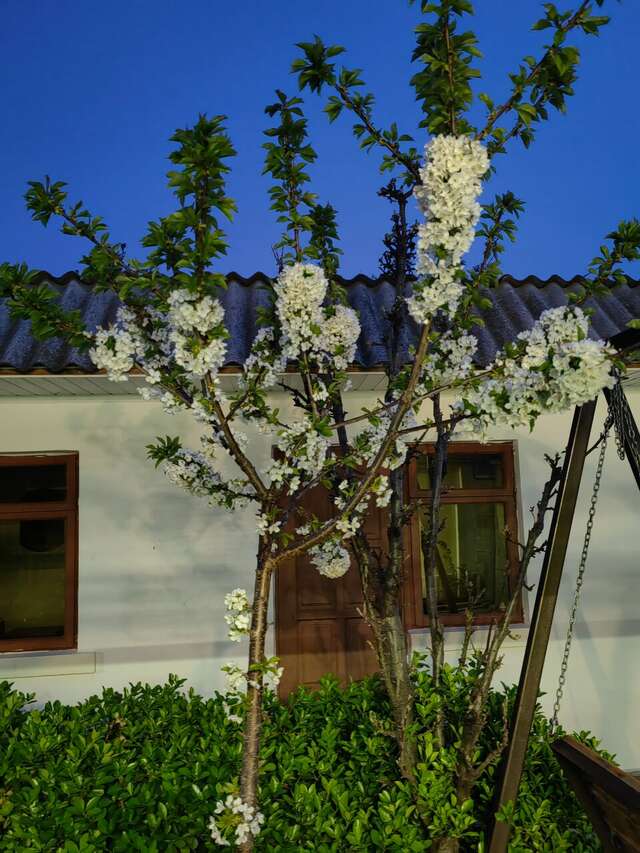 Гостевой дом У Чижика Севастополь-161