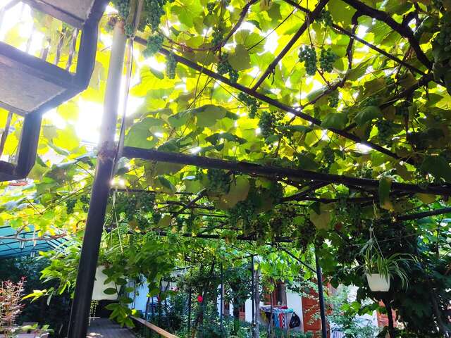 Гостевой дом У Чижика Севастополь-171