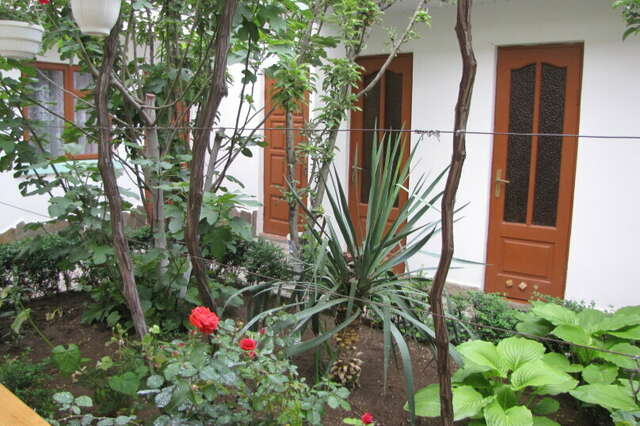 Гостевой дом У Чижика Севастополь-37