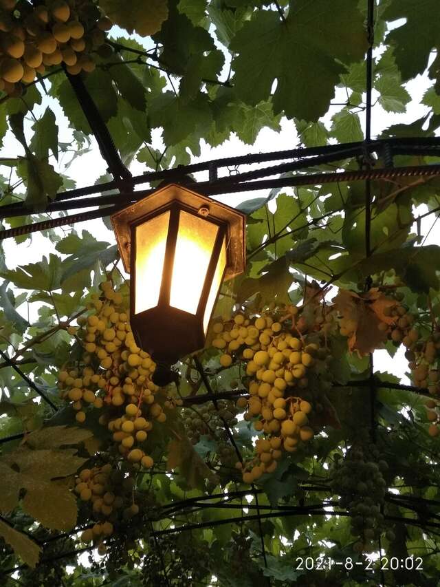 Гостевой дом У Чижика Севастополь-160