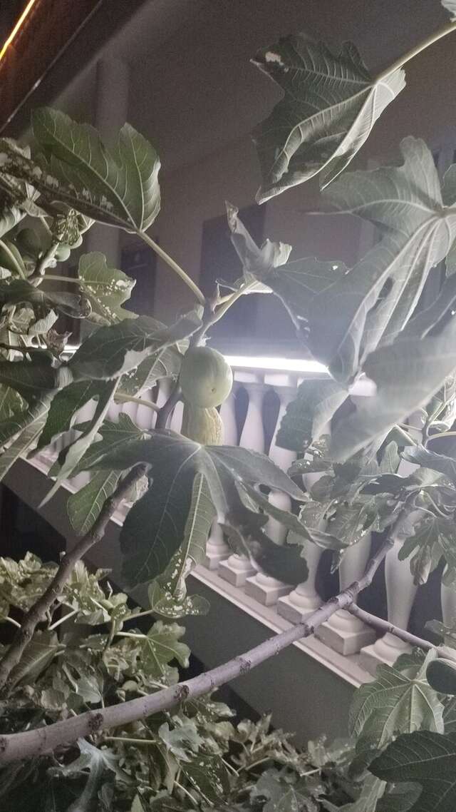 Гостевой дом У Чижика Севастополь-168