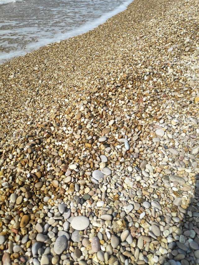 Гостевой дом У Чижика Севастополь-163